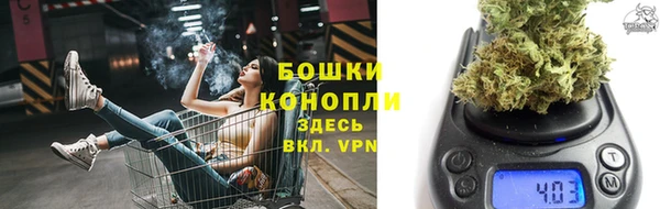 индика Беломорск