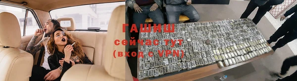 индика Беломорск