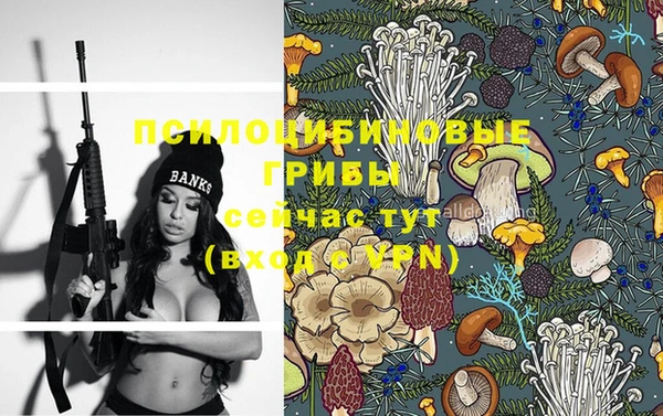 spice Белоозёрский