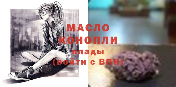 индика Беломорск