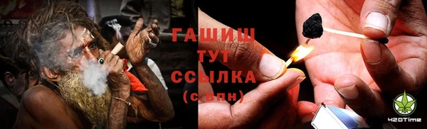 индика Беломорск