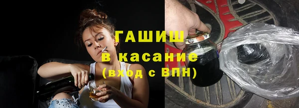 индика Беломорск