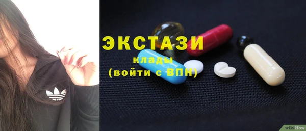 индика Беломорск