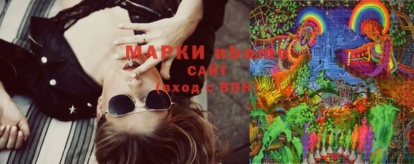 индика Беломорск