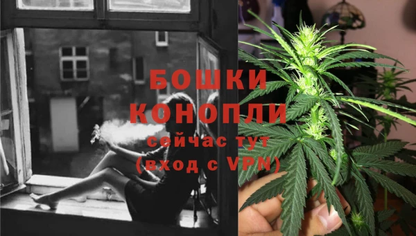 индика Беломорск