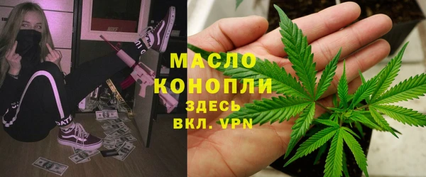 индика Беломорск