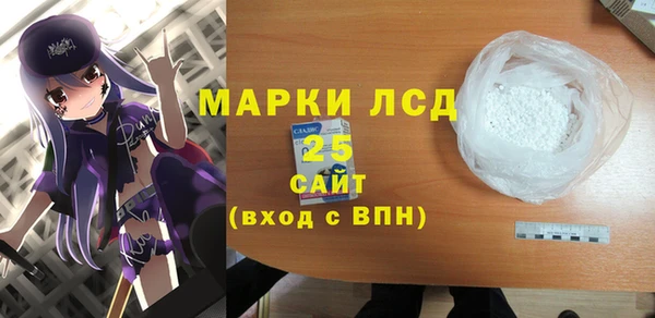 индика Беломорск